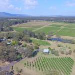 McCaffreys Estate - Accommodation Gold Coast 0