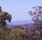 Ravensbourne Escape Cedar Lodge - Accommodation Gold Coast