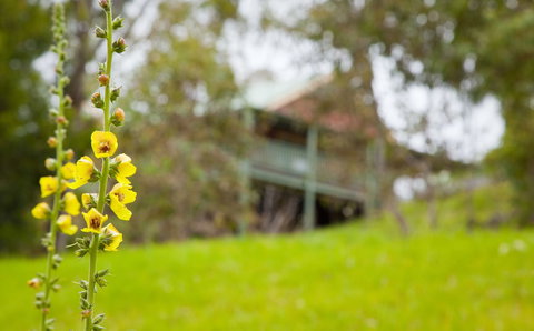 The Bryn At Tilba - Accommodation Gold Coast 2