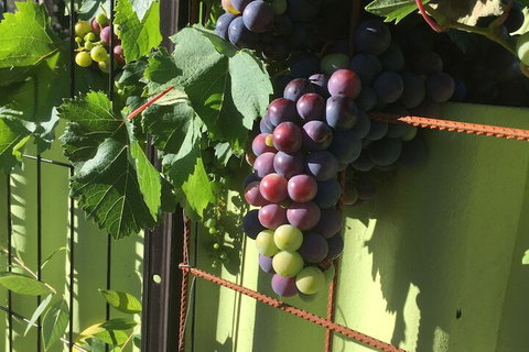 Bed & Breakfast In Perth - Accommodation Gold Coast 2