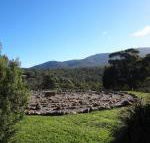 Hawksview at Mafeking - Gold Coast 4U