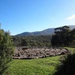 Hawksview At Mafeking - Accommodation Gold Coast 0