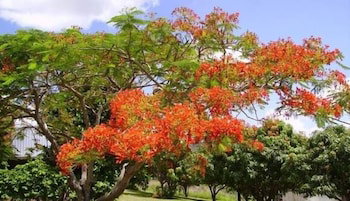 Eastwood Farm - 1 Gold Coast 0