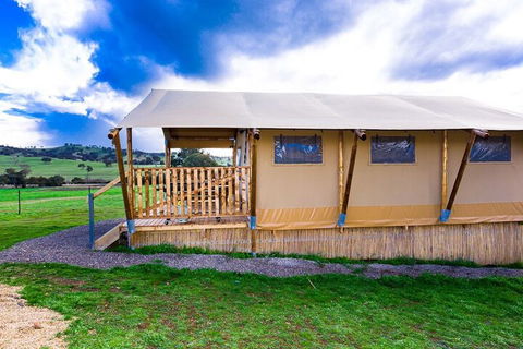 Hillview Farmstay - Accommodation Gold Coast 3