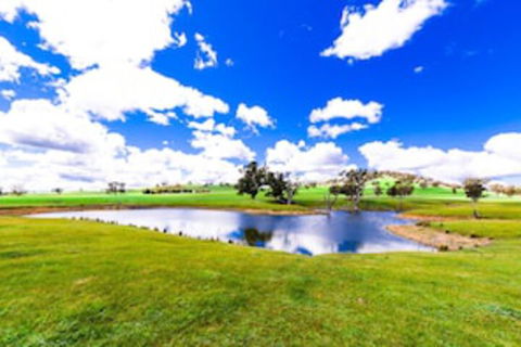 Hillview Farmstay - Accommodation Gold Coast 0