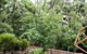 Tangenong Cottages - thumb 4