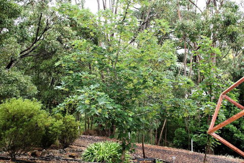 Tangenong Cottages - Accommodation Gold Coast 4