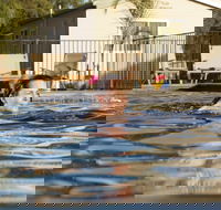Riverside Cabin Park - Accommodation Gold Coast