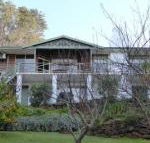 Sea Banksia - Accommodation Gold Coast