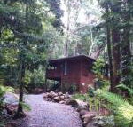 Black Palm Cape Tribulation - Gold Coast 4U