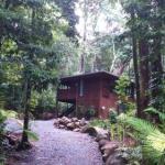 Black Palm Cape Tribulation - Gold Coast 4U 0