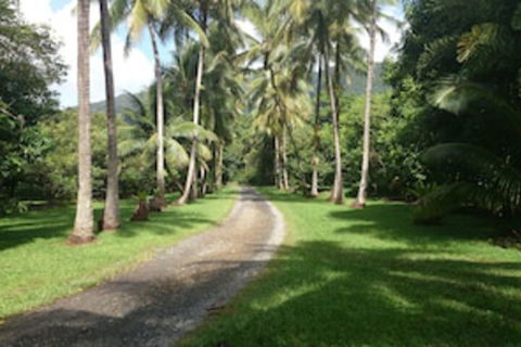 Cape Trib Farmstay - Gold Coast 4U 0