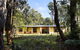 Gumtree Spring - thumb 4