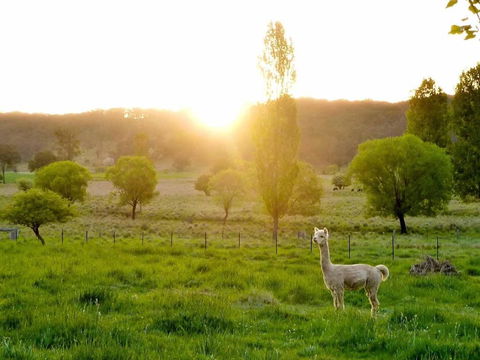 Glen Waverly Farmstay - Gold Coast 4U 6