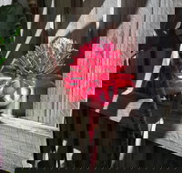 Latania Luxury Villas - 1 Gold Coast