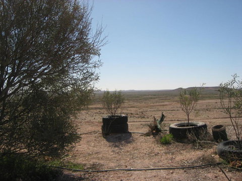 Venushill B+B - Accommodation Gold Coast 6