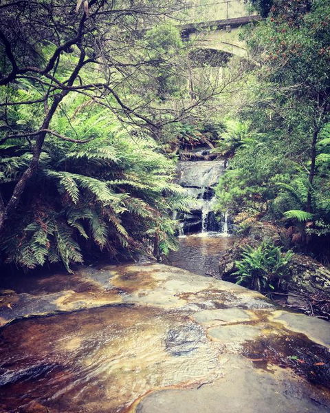 Highland Cottage - Accommodation Gold Coast 2