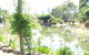Still Waters - thumb 4