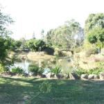 Still Waters - Gold Coast 4U 0