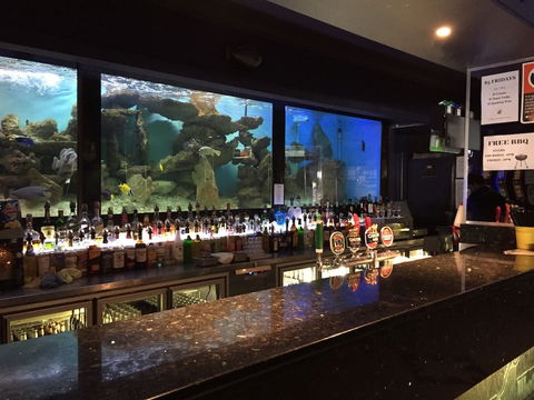 Harp Hotel - Accommodation Gold Coast 4