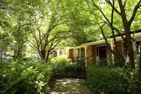 Leura Camellias - Gold Coast 4U 0