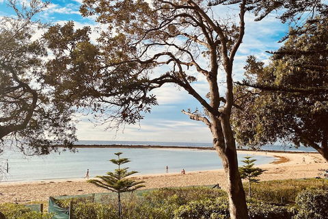 Kims Beachside Retreat - Gold Coast 4U 1