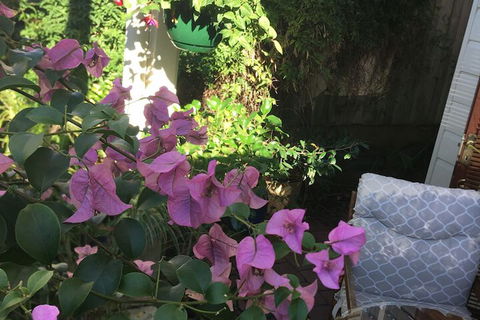 Swan Inn Bed & Breakfast - Accommodation Gold Coast 6