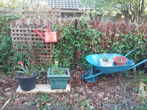 Kismet B & B - Accommodation Gold Coast 4