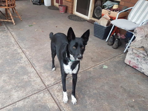 Kismet B & B - Accommodation Gold Coast 3