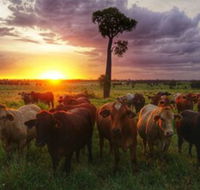 Myella Farm Stay - Accommodation Gold Coast