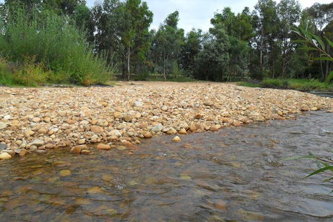 Brookfield Guesthouse - Accommodation Gold Coast 7