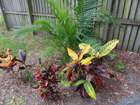 Beachside - Accommodation Gold Coast 4