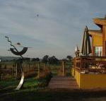 Art at Linden Gate - Accommodation Gold Coast