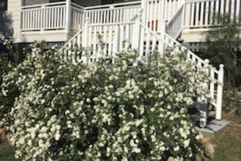 Glen Aplin Gardens B&B - Accommodation Gold Coast 0