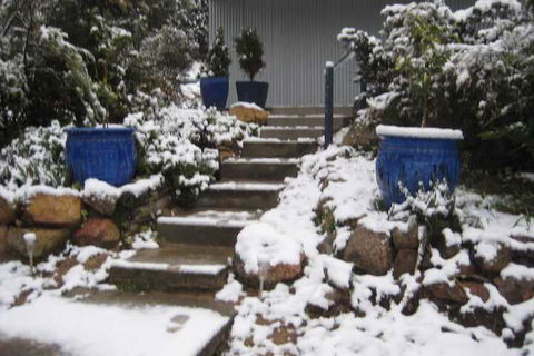 Glen Aplin Gardens B&B - Accommodation Gold Coast 2