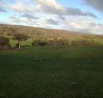 Mancuso Country Cottage Retreat - Gold Coast 4U