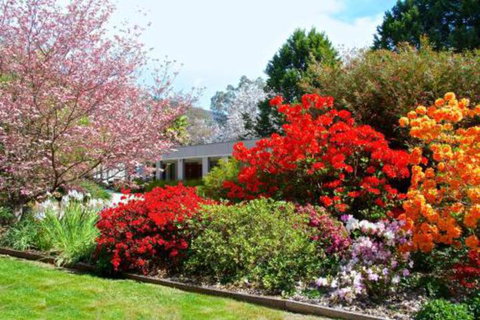 Grevillea Gardens Apartments - Accommodation Gold Coast 7