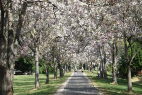 Grevillea Gardens Apartments - Accommodation Gold Coast 5