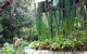 Lemonade Creek Cottages - thumb 0