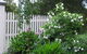 Lemonade Creek Cottages - thumb 2