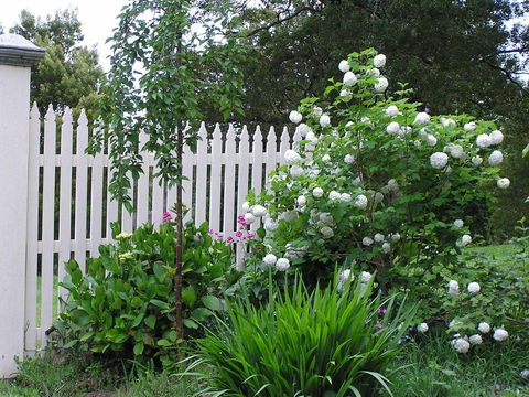 Lemonade Creek Cottages - Accommodation Gold Coast 2