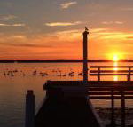 Bayview Boathouse - Accommodation Gold Coast