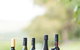 Borrodell Vineyard - thumb 4