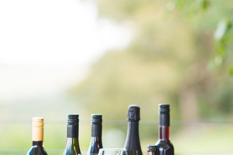 Borrodell Vineyard - Accommodation Gold Coast 4