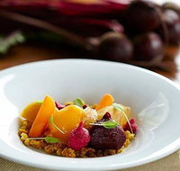 Season - 1 Gold Coast