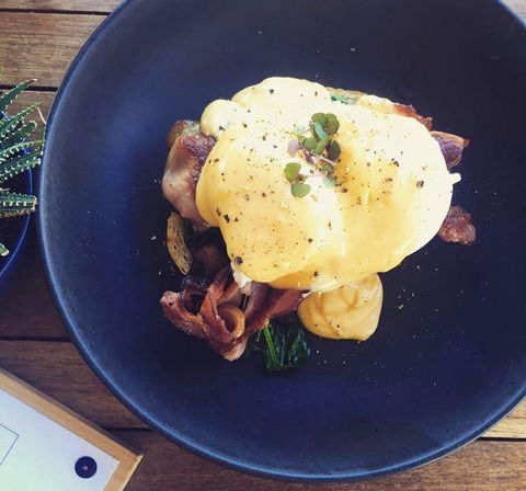 Raita Noda Chef's Kitchen - Accommodation Gold Coast 5