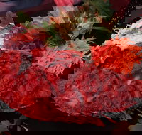 Buffalo Boy - Accommodation Gold Coast