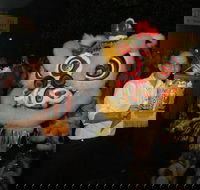 Lion Dance - Accommodation Gold Coast