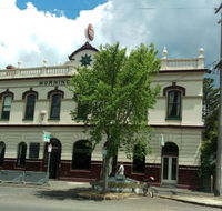 Morning Star - Accommodation Gold Coast