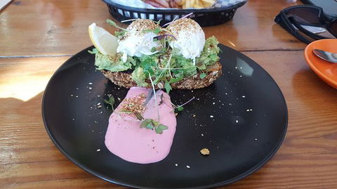 The Blue Dog - Accommodation Gold Coast 0